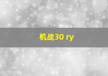 机战30 ry